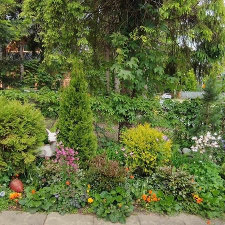 Apartament Dom Lesnik Zakopane Zewnętrze zdjęcie