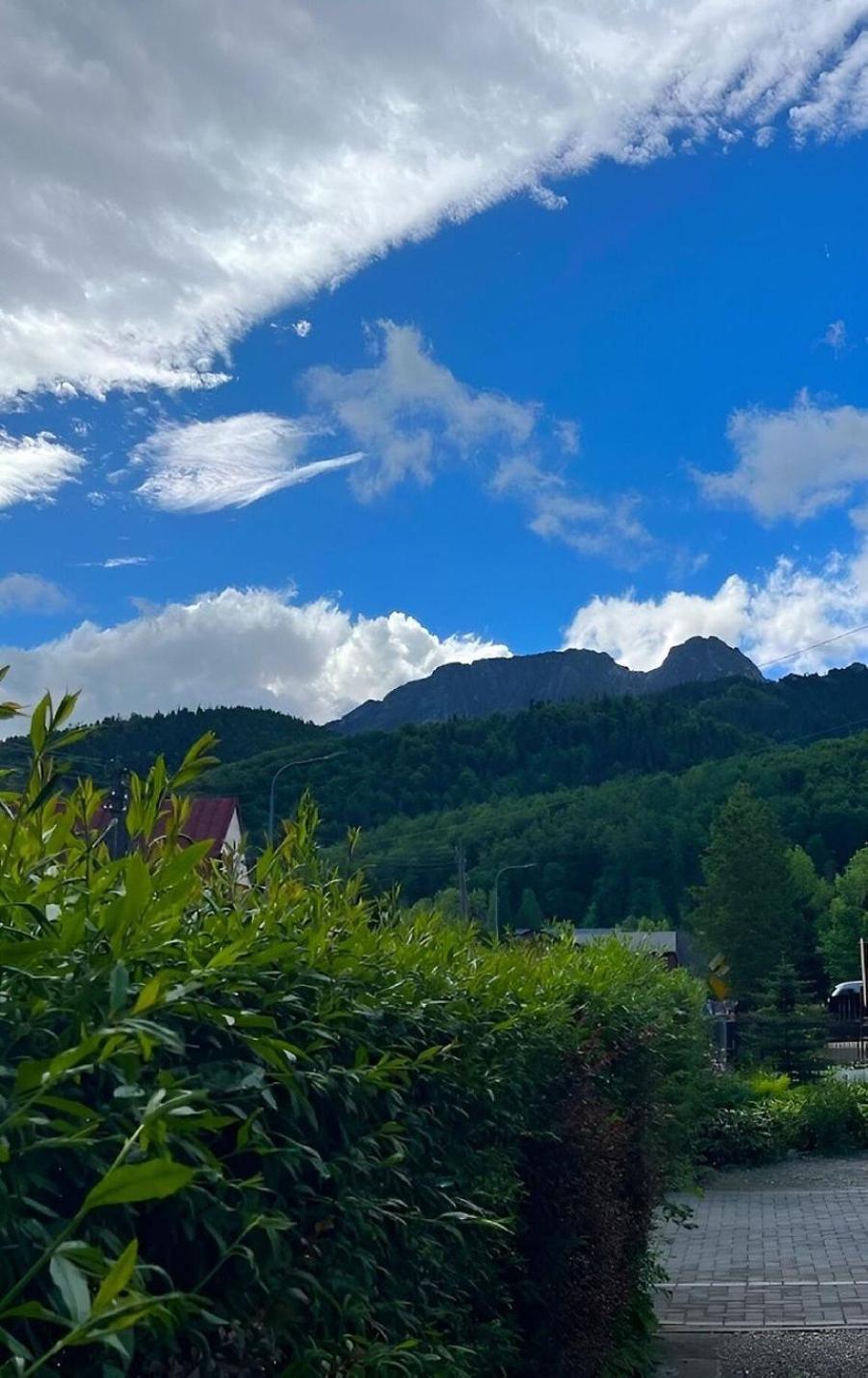 Apartament Dom Lesnik Zakopane Zewnętrze zdjęcie
