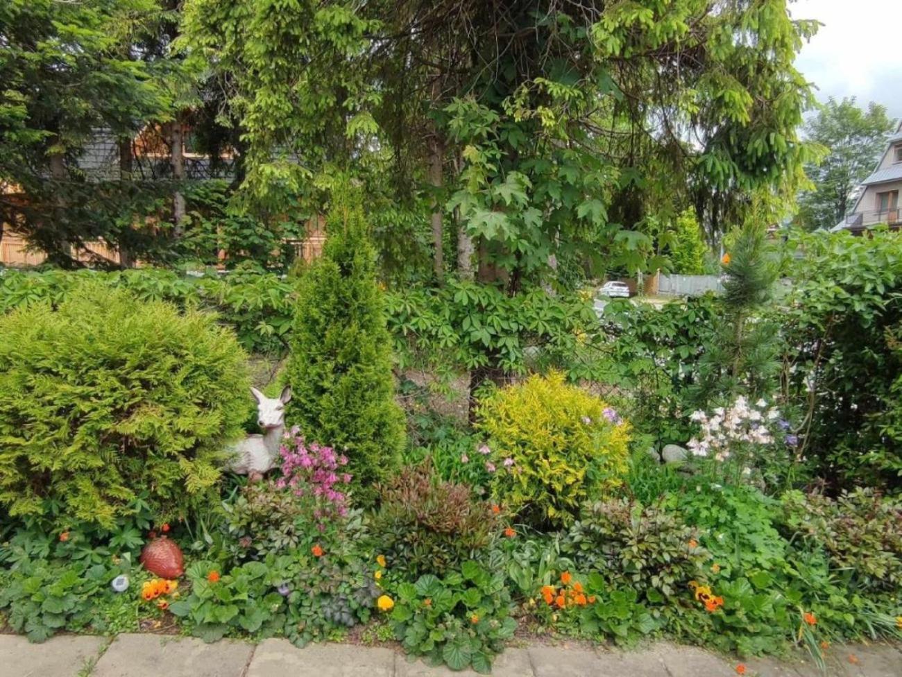 Apartament Dom Lesnik Zakopane Zewnętrze zdjęcie