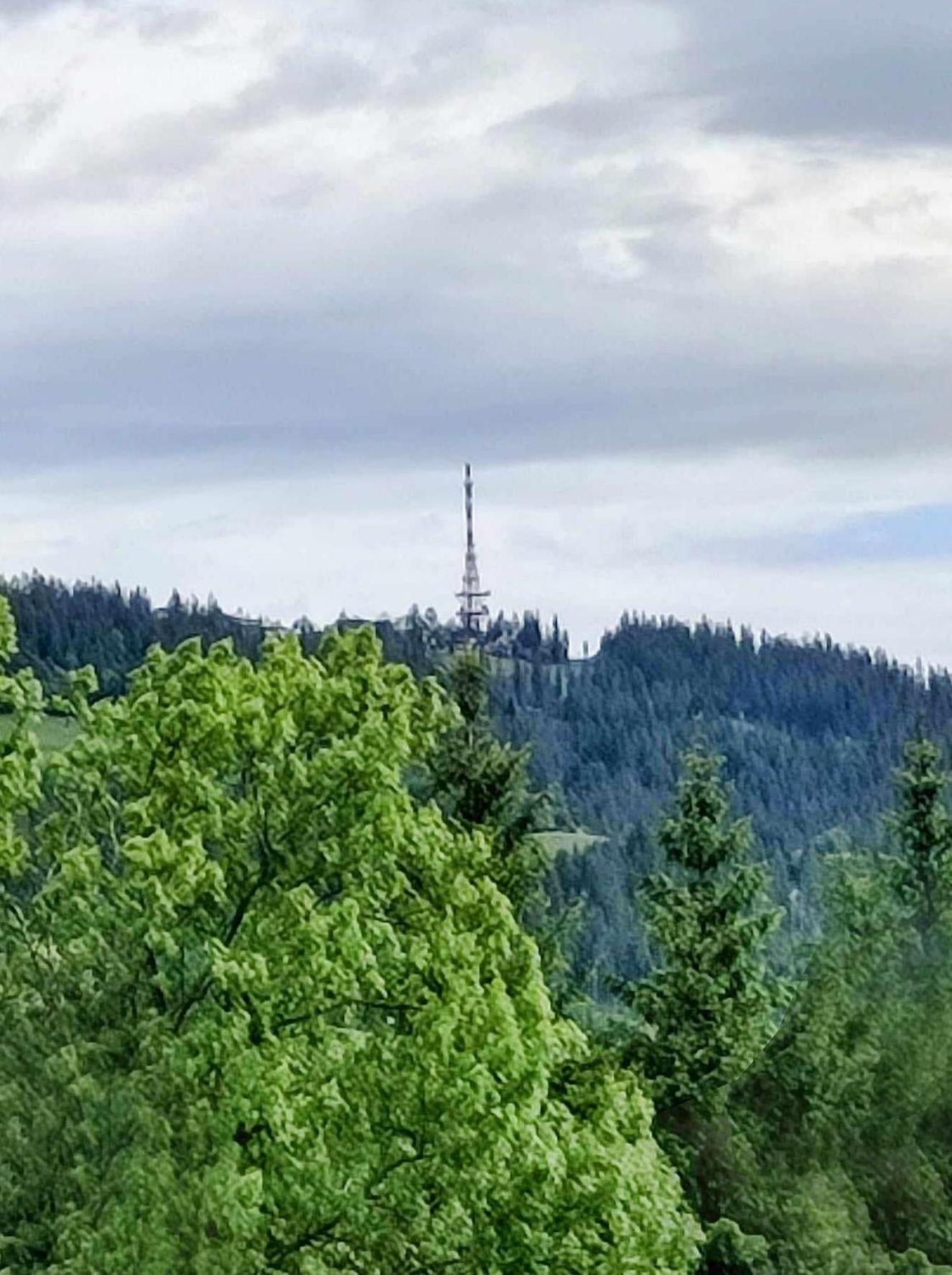 Apartament Dom Lesnik Zakopane Zewnętrze zdjęcie
