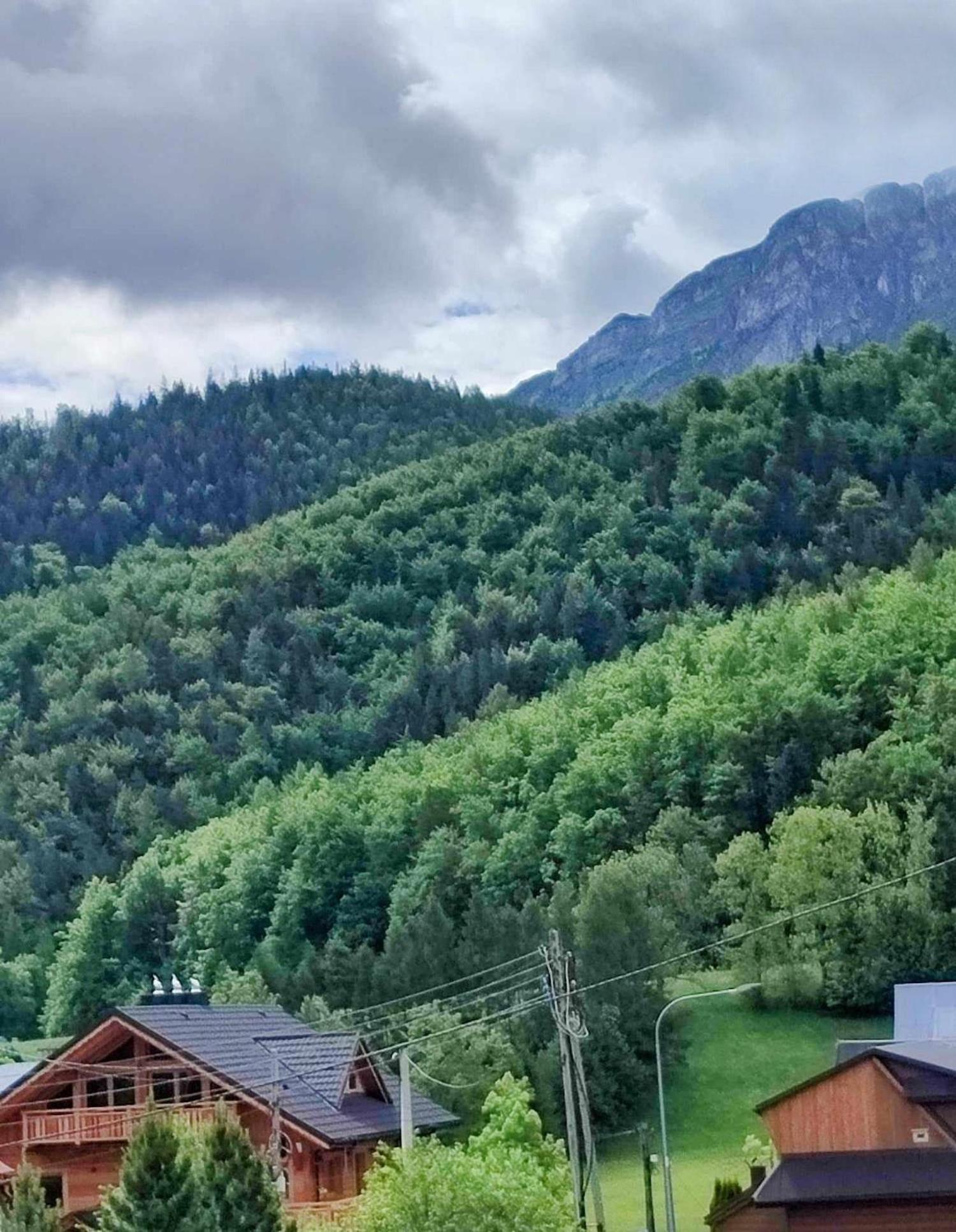 Apartament Dom Lesnik Zakopane Zewnętrze zdjęcie