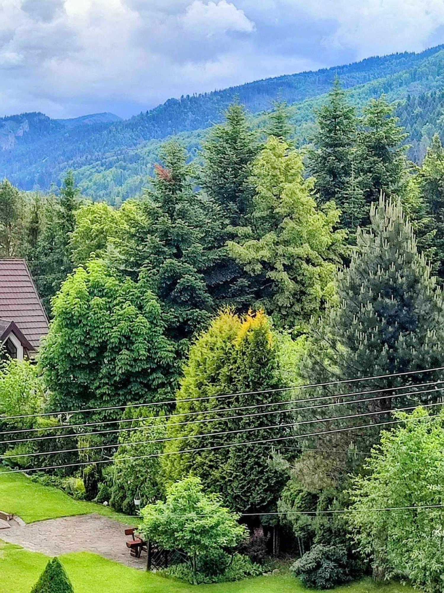 Apartament Dom Lesnik Zakopane Zewnętrze zdjęcie